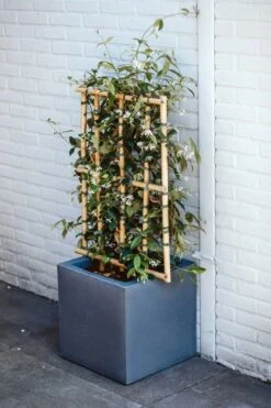 Capi Europe - Bloempot Vierkant Smooth NL - 40x40x40 - Zwart - Voor Binnen En Buiten - KBL903 -Tuinen Speciaal Winkel 800x1200 115