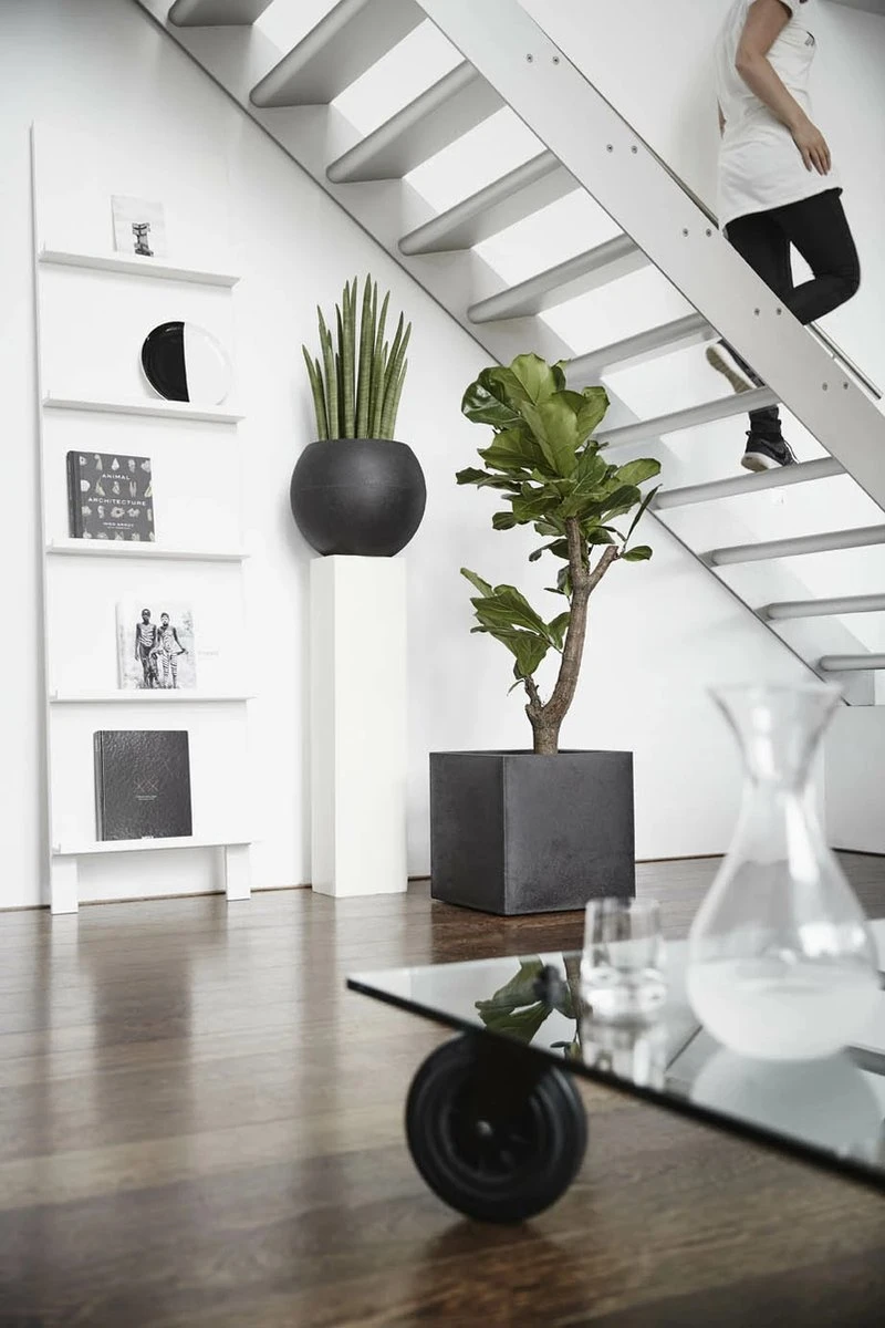 Capi Europe - Bloempot Vierkant Smooth NL - 30x30x30 - Zwart - Voor Binnen En Buiten - KBL902 12 Capi Europe - Bloempot Vierkant Smooth NL - 30x30x30 - Zwart - Voor Binnen En Buiten - KBL902 - Afbeelding 10