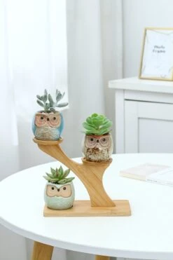 Luxe Bamboe Houten Boom Met 3 Keramiek Uil Bloempotten/Plantenpotten Op Standaard/Voet Voor Binnen En Buiten - Modern Design Bloempot/Plantenpot Op Poten/Pootjes-Plantenbak Mini Cactus Nep Plant Pot Houder - Kleine Bloembakken Plantenrek/Plantenkurk -Tuinen Speciaal Winkel 800x1200 129