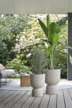 Elho Pure Coupe 41 - Bloempot Voor Binnen & Buiten - Ø 41.3 X H 57.9 Cm - Beige/Balanced Beige -Tuinen Speciaal Winkel 800x1200 132