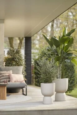 Elho Pure Coupe 41 - Bloempot Voor Binnen & Buiten - Ø 41.3 X H 57.9 Cm - Beige/Balanced Beige -Tuinen Speciaal Winkel 800x1200 134