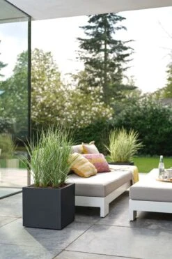 Elho Vivo Next Vierkant 30 - Plantenbak Voor Binnen & Buiten - Ø 29.5 X H 29.5 Cm - Zwart/Living Black -Tuinen Speciaal Winkel 800x1200 142