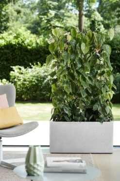 Elho Vivo Structure Finish Lang 90 - Plantenbak Voor Binnen & Buiten - Ø 88 X H 41 - Wit -Tuinen Speciaal Winkel 800x1200 143