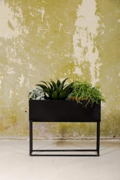 SENZA Rechthoekige Plantenbak - Bloemenbak Ijzer - 42.5 X 34cm - Zwart -Tuinen Speciaal Winkel 800x1200 144