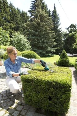 Bosch ISIO Gen III Accu Buxusschaar + Grasschaar -Tuinen Speciaal Winkel 800x1200 185