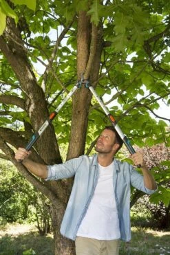 Gardena TeleCut Takkenschaar 650-900 B - Uitschuifbare Armen - Tot Max 90 Cm -Tuinen Speciaal Winkel 800x1200 187