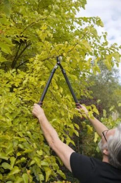 Kreator KRTGR4001 Takkenschaar - 650mm -Tuinen Speciaal Winkel 800x1200 190