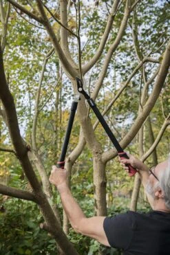 Kreator KRTGR4001 Takkenschaar - 650mm -Tuinen Speciaal Winkel 800x1200 191