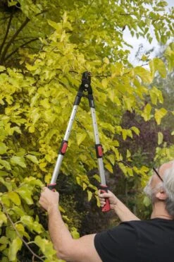 Kreator KRTGR4013 Telescopische Takkenschaar - 63-89 Cm Totale Lengte - . Ø39 Mm Knipdiameter -Tuinen Speciaal Winkel 800x1200 192