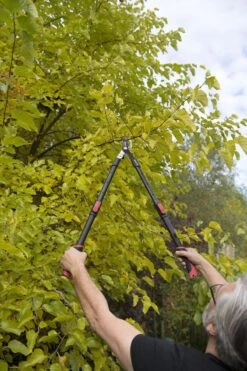 Kreator KRTGR4003 Telescopische Takkenschaar – Jong Hout - Knipdiameter: Ø34 Mm 9 Kreator KRTGR4003 Telescopische Takkenschaar – Jong Hout - Knipdiameter: Ø34 Mm -Tuinen Speciaal Winkel 800x1200 193