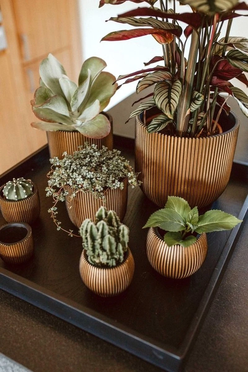 Capi Europe - Bloempot Bol Groove - 23x21 - Goud - Bloempot Voor Binnen - BGVGB134 10 Capi Europe - Bloempot Bol Groove - 23x21 - Goud - Bloempot Voor Binnen - BGVGB134 - Afbeelding 8