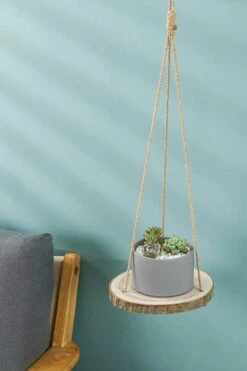 Set Van 2 Boomstam Rond Wandrek Plantenhangers - Boho Jute Houten Plantenrek - Hangpot Voor Binnen/Buiten - Hangende Bloempot Plank - Hangplant Houder - Bohemian Macrame Stijl Wandhanger - Hangplank Plant Hanger - Planthanger - Ø Rond 25-20cm 18 Set Van 2 Boomstam Rond Wandrek Plantenhangers - Boho Jute Houten Plantenrek - Hangpot Voor Binnen/Buiten - Hangende Bloempot Plank - Hangplant Houder - Bohemian Macrame Stijl Wandhanger - Hangplank Plant Hanger - Planthanger - Ø Rond 25-20cm -Tuinen Speciaal Winkel 800x1200 70