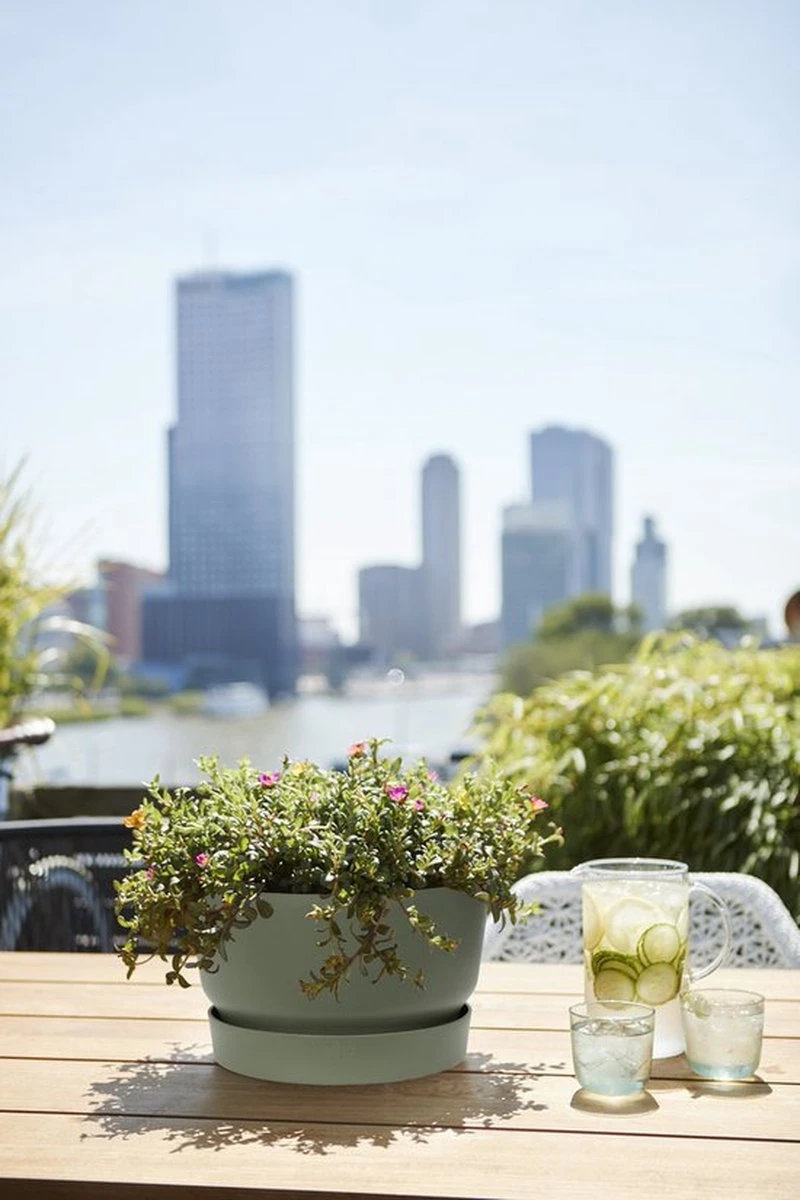 Elho Greenville Schaal 33 - Bloempot Voor Buiten - Ø 32.5 X H 19.4 Cm - Groen/Blad Groen 6 Elho Greenville Schaal 33 - Bloempot Voor Buiten - Ø 32.5 X H 19.4 Cm - Groen/Blad Groen - Afbeelding 4