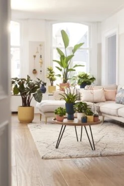 Elho Vibes Fold Rond Wielen 35 - Bloempot Voor Binnen - Ø 34.9 X H 32.4 Cm - Delicaat Roze -Tuinen Speciaal Winkel 800x1200 73