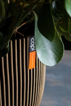 Capi Europe - Bloempot Bol Groove NL - 35x34 - Goud - Voor Binnen En Buiten - KGVGB932 -Tuinen Speciaal Winkel 800x1200 76