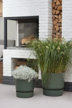 Elho Greenville Rond 30 - Grote Bloempot Voor Buiten - Gemaakt Van Gereycled Plastic - Ø 29.5 X H 27.8 Cm - Blad Groen 22 Elho Greenville Rond 30 - Grote Bloempot Voor Buiten - Gemaakt Van Gereycled Plastic - Ø 29.5 X H 27.8 Cm - Blad Groen -Tuinen Speciaal Winkel 800x1200 77