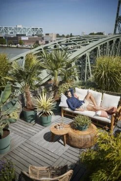 Elho Greenville Rond 30 - Grote Bloempot Voor Buiten - Gemaakt Van Gereycled Plastic - Ø 29.5 X H 27.8 Cm - Blad Groen 27 Elho Greenville Rond 30 - Grote Bloempot Voor Buiten - Gemaakt Van Gereycled Plastic - Ø 29.5 X H 27.8 Cm - Blad Groen -Tuinen Speciaal Winkel 800x1200 78