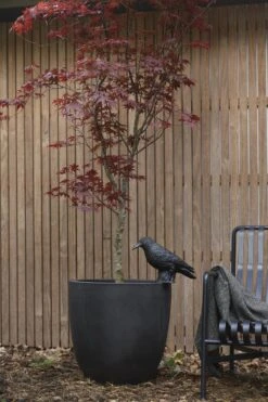 Capi Europe - Bloempot Bol Smooth NL - 43x41 - Zwart - Voor Binnen En Buiten - KBL933 24 Capi Europe - Bloempot Bol Smooth NL - 43x41 - Zwart - Voor Binnen En Buiten - KBL933 -Tuinen Speciaal Winkel 800x1200 85