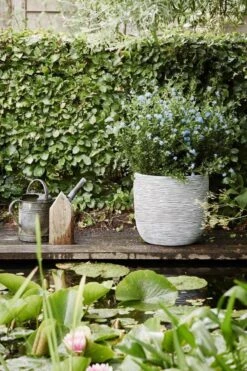 Capi Europe - Bloempot Bol Rib NL - 35x34 - Ivoor - Voor Binnen En Buiten - KOFI932 -Tuinen Speciaal Winkel 800x1200 93