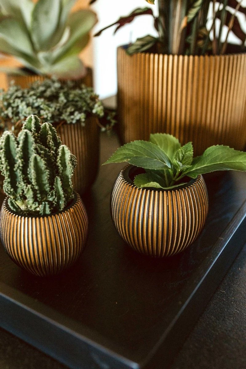 Capi Europe - Vaas Bol Groove XL - 39x33 - Goud - Bloempot Voor Binnen - Opening ⌀24 - GVGB270 5 Capi Europe - Vaas Bol Groove XL - 39x33 - Goud - Bloempot Voor Binnen - Opening ⌀24 - GVGB270 - Afbeelding 3