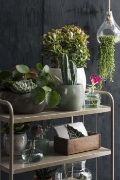 Mica Decorations Lester Bloempot - H31 X Ø33 Cm - Terracotta - Groen -Tuinen Speciaal Winkel 801x1200 12