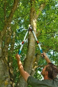 Gardena TeleCut Takkenschaar 650-900 B - Uitschuifbare Armen - Tot Max 90 Cm -Tuinen Speciaal Winkel 801x1200 21