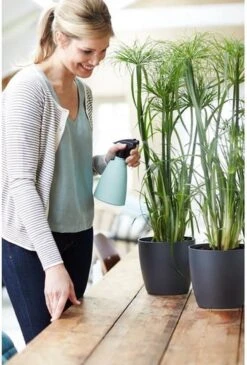 Elho Brussels Sprayer 12 - Plantenspuit Voor Binnen - Ø 11.3 X H 22.3 Cm - Groen/Mint 9 Elho Brussels Sprayer 12 - Plantenspuit Voor Binnen - Ø 11.3 X H 22.3 Cm - Groen/Mint -Tuinen Speciaal Winkel 813x1200