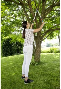 GARDENA - TeleCut Telescopische - Takkenschaar 520-670B - 42 Mm Verstelbare Lengte -Tuinen Speciaal Winkel 826x1200 4