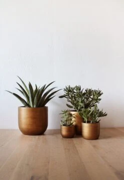 Capi Europe - Set Van 4 - Bloempot Binnen - Retro - - Goud - Bloempot Voor Binnen - BOX-BRTG-4 -Tuinen Speciaal Winkel 829x1200