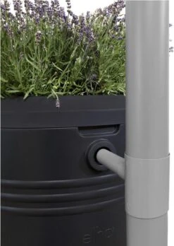 Elho Green Basics Regenton - Regenton - Living Black - Buiten - 200 Liter -Tuinen Speciaal Winkel 852x1200