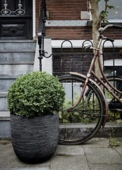 Capi Europe - Bloempot Bol Rib NL - 35x34 - Zwart - Voor Binnen En Buiten - KBLR932 -Tuinen Speciaal Winkel 864x1200 1