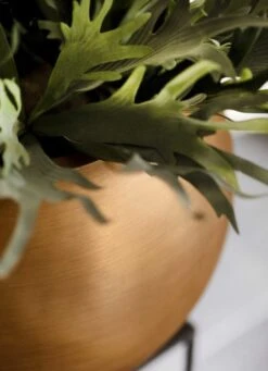 Capi Europe - Vaas Bol Retro - 30x25 - Goud - Bloempot Voor Binnen - BRTG104 19 Capi Europe - Vaas Bol Retro - 30x25 - Goud - Bloempot Voor Binnen - BRTG104 -Tuinen Speciaal Winkel 869x1200 1