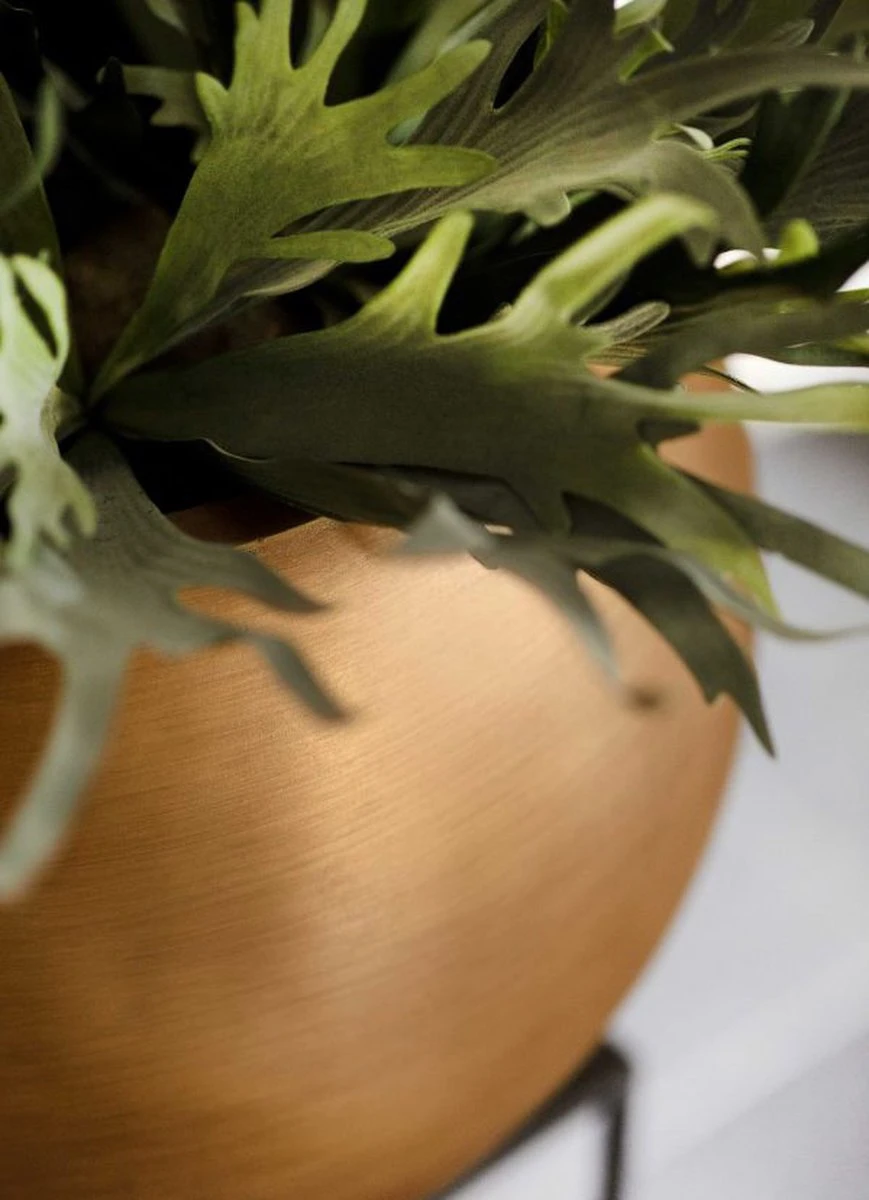 Capi Europe - Vaas Bol Retro - 30x25 - Goud - Bloempot Voor Binnen - BRTG104 10 Capi Europe - Vaas Bol Retro - 30x25 - Goud - Bloempot Voor Binnen - BRTG104 - Afbeelding 8