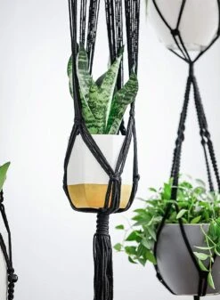 4 Stuks Luxe Macrame Plantenhangers - Boho Handgeweven Katoen Hangpot Voor Binnen/Buiten - Hangende Bloempot Met Kralen - Macramé Touw/Koord Hangplant Houder - Bohemian Wandhanger Decoratie - Plant Hanger - Verticale Tuin Bloempothouder Planthanger -Tuinen Speciaal Winkel 880x1200 5