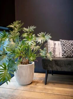 Capi Europe - Bloempot Bol Groove NL - 43x41 - Zwart - Voor Binnen En Buiten - KGVBL933 -Tuinen Speciaal Winkel 883x1200