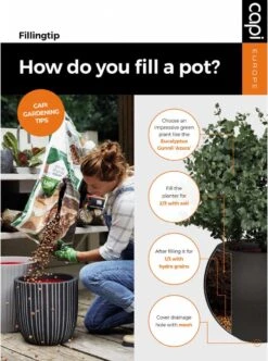 Capi Europe - Bloempot Vierkant Smooth NL - 50x50x50 - Zwart - Voor Binnen En Buiten - KBL904 -Tuinen Speciaal Winkel 892x1200 2