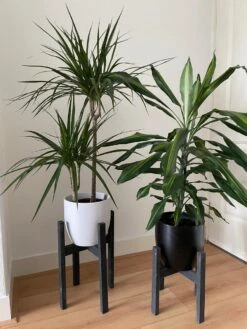 Plantenstandaard Binnen - Set Van 2 - Diameter Tot 24 Cm - Plantenkruk - Bloempotten Voor Binnen - Plantentafeltje Voor Binnen - Bloempot Standaard - Plantenstandaard - Hout - Mat Zwart/Donkergrijs -Tuinen Speciaal Winkel 900x1200 20