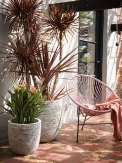 Capi Europe - Bloempot Bol Rib NL - 35x34 - Ivoor - Voor Binnen En Buiten - KOFI932 -Tuinen Speciaal Winkel 900x1200 26