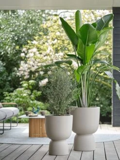 Elho Pure Coupe 41 - Bloempot Voor Binnen & Buiten - Ø 41.3 X H 57.9 Cm - Beige/Balanced Beige -Tuinen Speciaal Winkel 900x1200 32