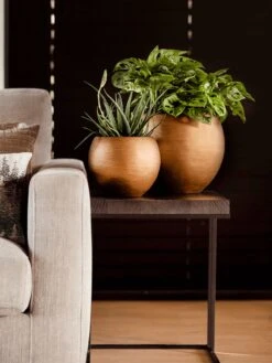 Capi Europe - Vaas Bol Retro - 30x25 - Goud - Bloempot Voor Binnen - BRTG104 21 Capi Europe - Vaas Bol Retro - 30x25 - Goud - Bloempot Voor Binnen - BRTG104 -Tuinen Speciaal Winkel 900x1200 34