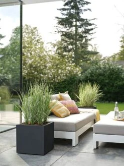 Elho Vivo Next Vierkant 40 - Plantenbak Voor Binnen & Buiten - Ø 39.0 X H 37.9 Cm - Zwart/Living Black -Tuinen Speciaal Winkel 900x1200 39