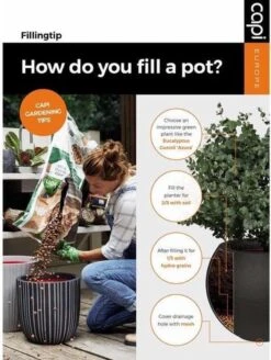 Capi Europe - Bloempot Bol Rib NL - 35x34 - Zwart - Voor Binnen En Buiten - KBLR932 -Tuinen Speciaal Winkel 903x1200