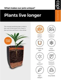 Capi Europe - Bloempot Bol Smooth NL - 43x41 - Zwart - Voor Binnen En Buiten - KBL933 25 Capi Europe - Bloempot Bol Smooth NL - 43x41 - Zwart - Voor Binnen En Buiten - KBL933 -Tuinen Speciaal Winkel 917x1200 4