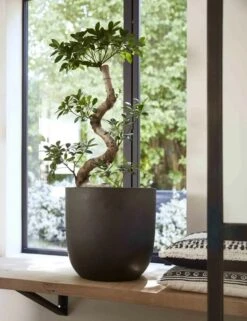 Capi Europe - Bloempot Bol Smooth NL - 35x34 - Zwart - Voor Binnen En Buiten - KBL932 -Tuinen Speciaal Winkel 923x1200