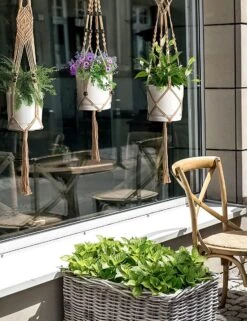 5 Stuks Jute Macrame Plantenhangers - Boho Handgeweven Katoen Hangpot Voor Binnen/Buiten - Hangende Bloempot Met Kralen - Macramé Touw/Koord Hangplant Houder - Bohemian Wandhanger Decoratie - Plant Hanger - Verticale Tuin Bloempothouder Planthanger -Tuinen Speciaal Winkel 923x1200 4