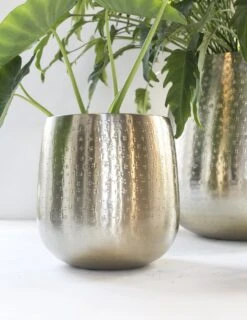 Gina Da - Bloempot - Karakter - Goud - Metaal - 15 Cm Hoog 11 Gina Da - Bloempot - Karakter - Goud - Metaal - 15 Cm Hoog -Tuinen Speciaal Winkel 926x1200 1