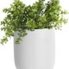 Pt Wand Bloempot Oval - White -Tuinen Speciaal Winkel 937x1200 1