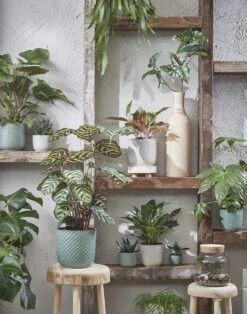 Mica Decorations Daan Bloempot - H17,5 X Ø19 Cm - Groen -Tuinen Speciaal Winkel 943x1200 1