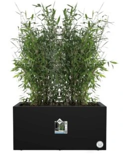 Elho Vivo Next Lang 60 - Bloempot Voor Binnen & Buiten - Ø 59.0 X H 29.2 Cm - Zwart/Living Black -Tuinen Speciaal Winkel 956x1200