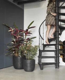 Capi Europe - Bloempot Bol Rib NL - 54x52 - Zwart - Voor Binnen En Buiten - KBLR935 21 Capi Europe - Bloempot Bol Rib NL - 54x52 - Zwart - Voor Binnen En Buiten - KBLR935 -Tuinen Speciaal Winkel 972x1200 1